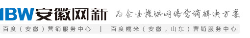 专业的网络营销——安徽、山东网新